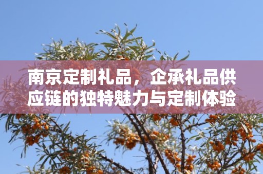 南京定制礼品，企承礼品供应链的独特魅力与定制体验